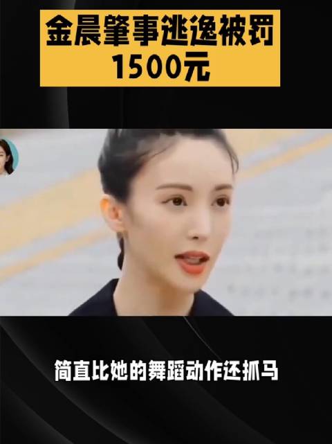 金晨避让流浪狗撞车致三人伤，离场就医被认定逃逸罚1500元