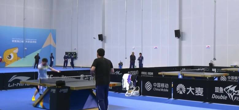 秦志戬王皓观战孙颖莎训练，马龙王楚钦决赛在即