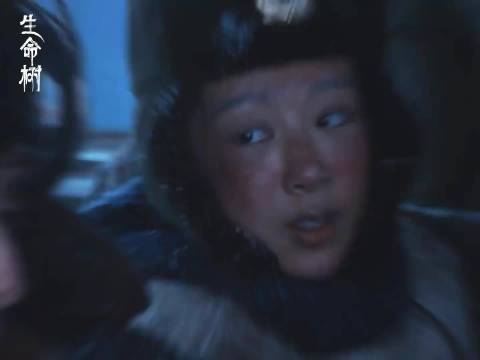 杨紫张哲华《生命树》两场吻戏引热议，悲喜交织观众动容