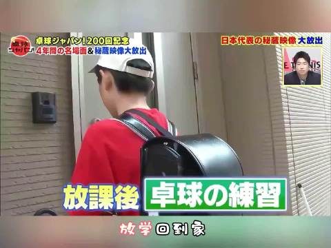 张本智和小时候纪录片