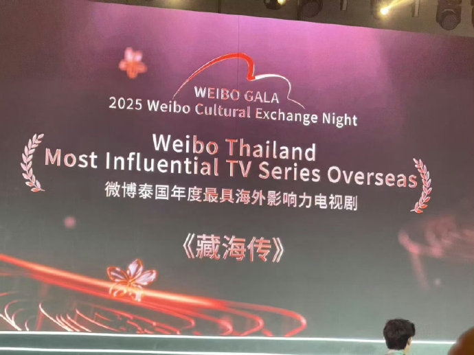 肖战2025年主演的《藏海传》和《射雕》，取得了哪些具体成绩？