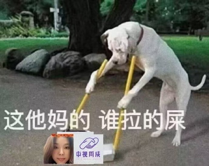 陈瑶本人及其工作室对此次恋情传闻有何回应？