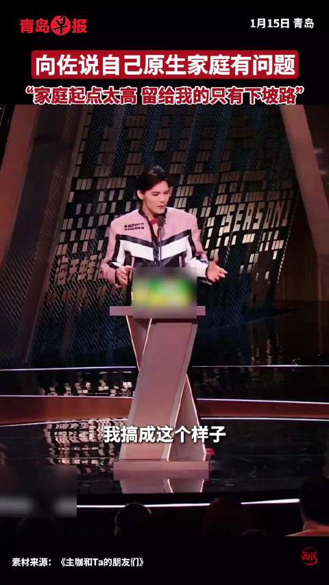 向佐参加综艺坦言原生家庭问题