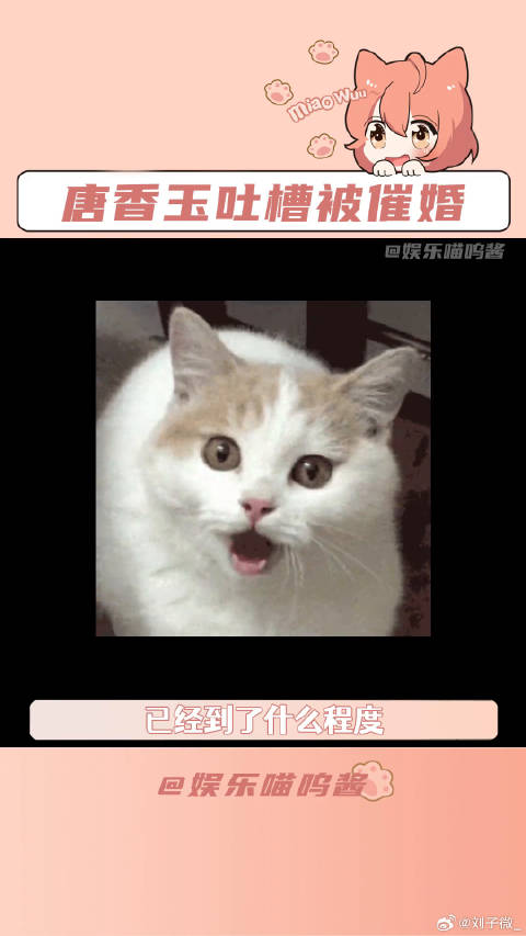 喜剧之王单口季 微博VC计划