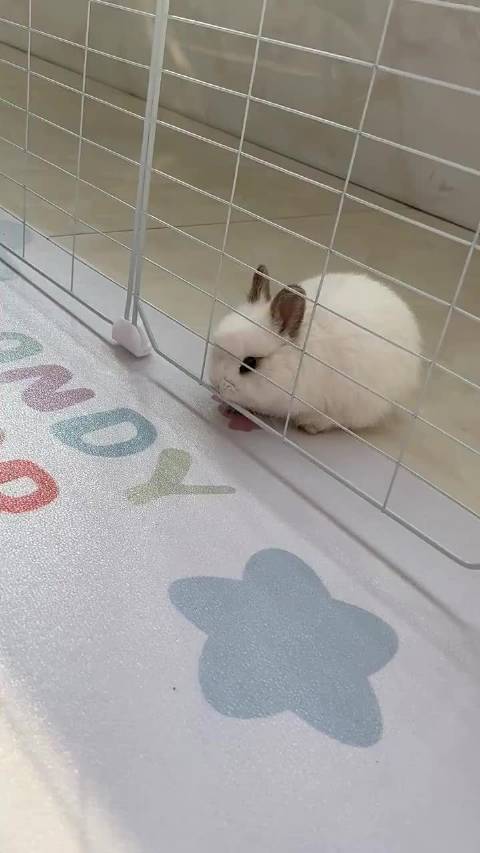 根本关不住我，来去自如