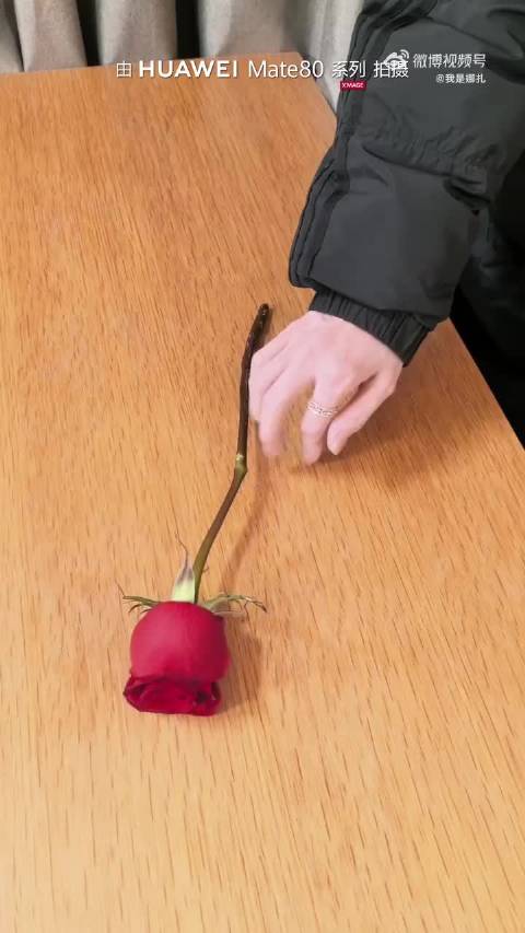 娜扎玫瑰花转场引热议,微博之夜美艳亮相