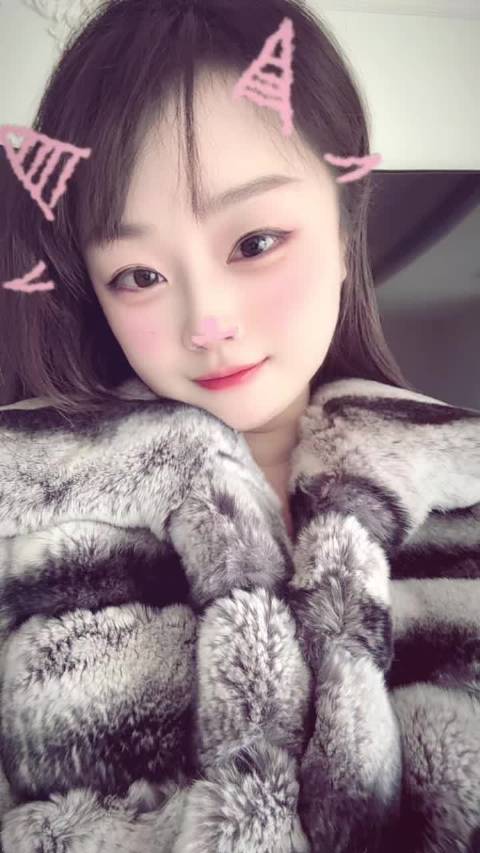 怎么能不爱龙猫呢