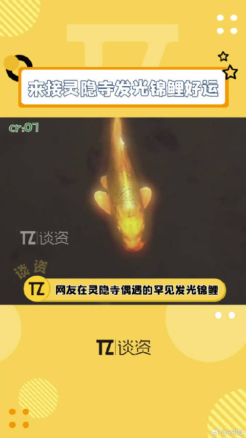 都来接发光锦鲤 的好运 ！接下来的日子你将会心想事成，财源滚滚！微博VC计划