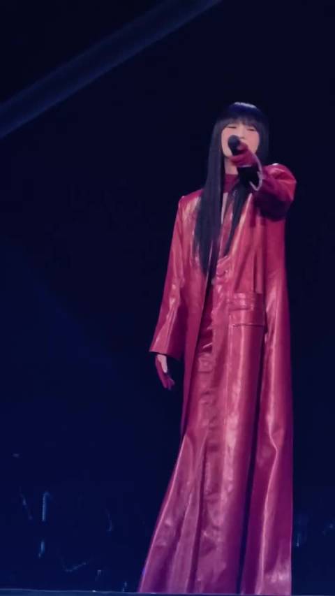 杨丞琳西安演唱会高清现场《雨爱》