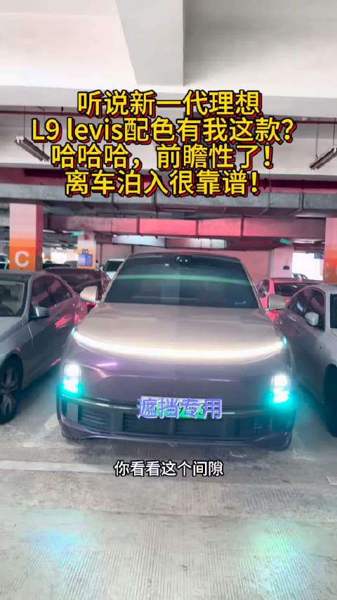理想L9推出Levis配色版，离车泊入功能受关注