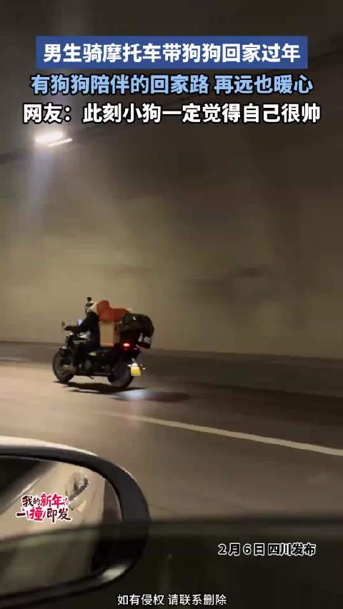 男生骑摩托车带狗狗回家过年，有狗狗陪伴的回家路，再远也暖心