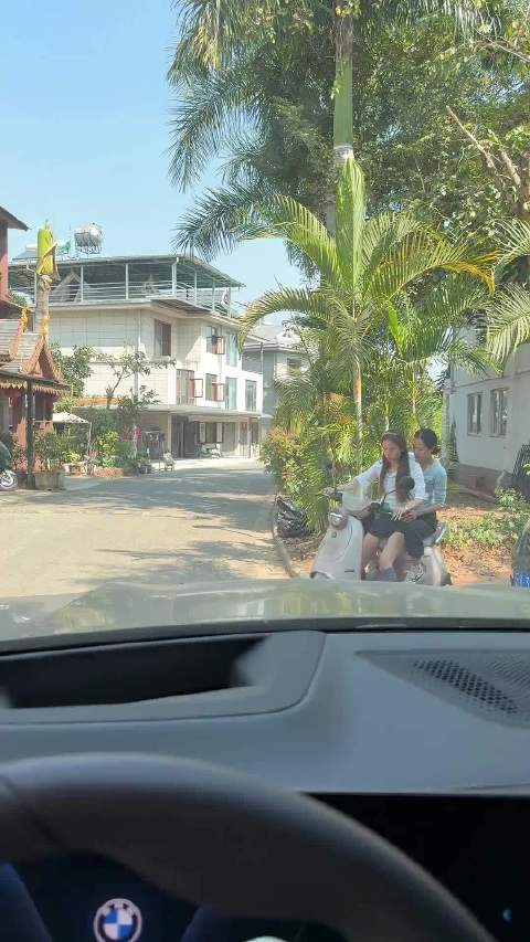 哨多多（直播号）的作品