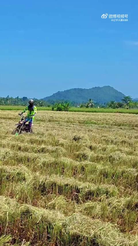 越南农民摩托车运水稻，这车技绝了