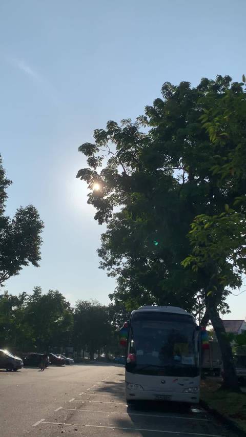 网剧双轨角色解读日月同辉，张碧城献唱主题曲