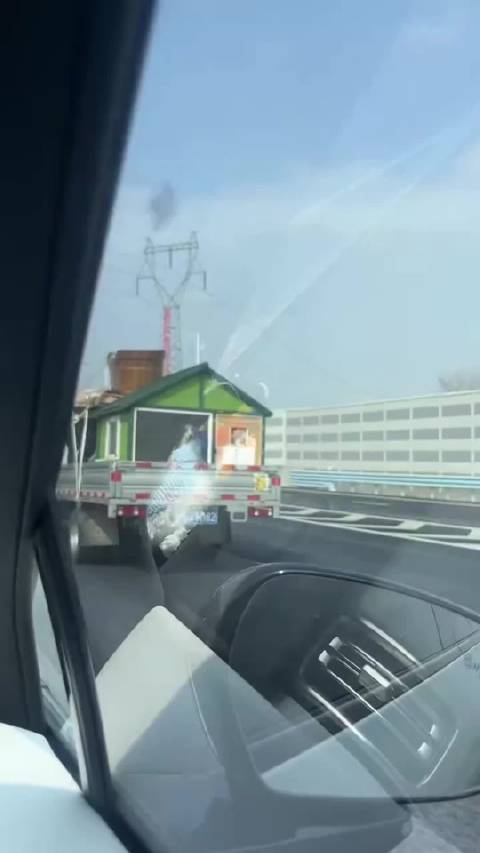 狗狗房车自驾游