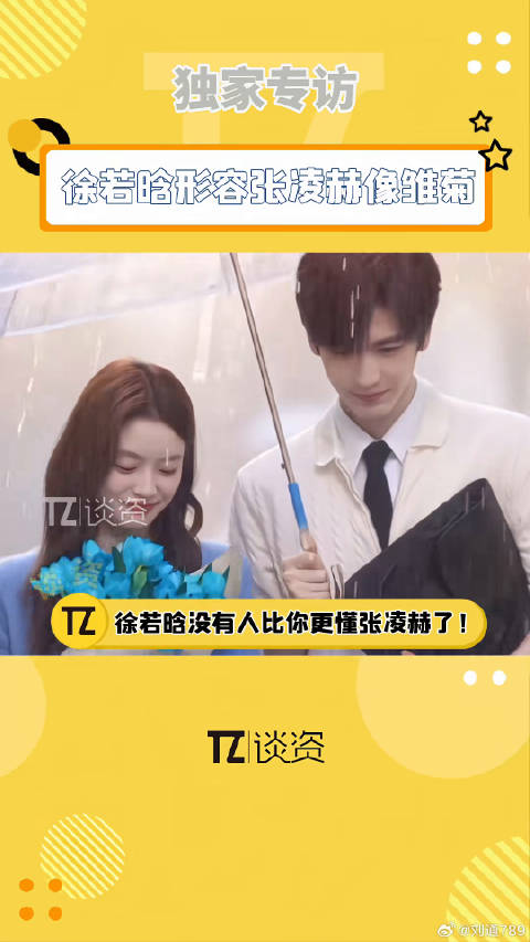 徐若晗说张凌赫像雏菊，何苏叶像茶叶，好贴切的形容！徐若晗 微博VC计划