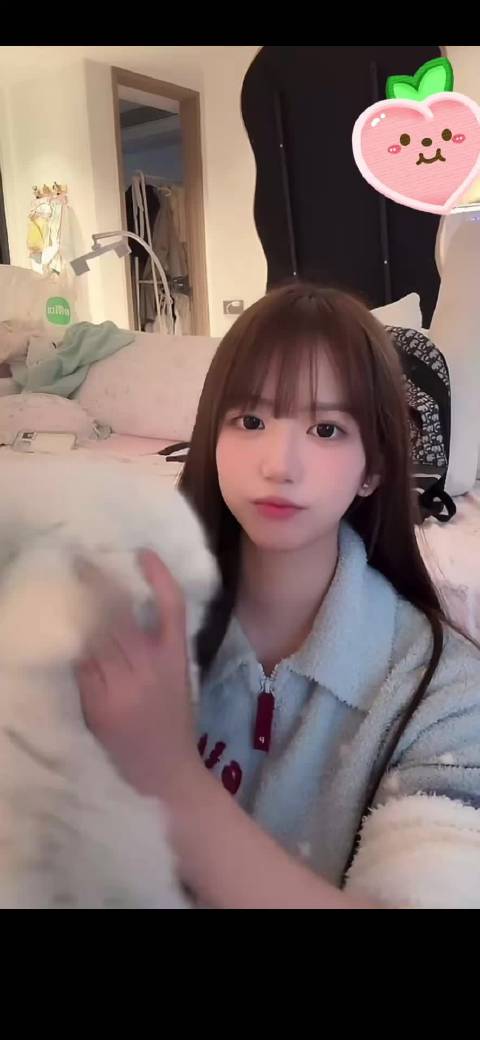 毛不易粉丝询问演唱会信息,爱宠同名引共鸣