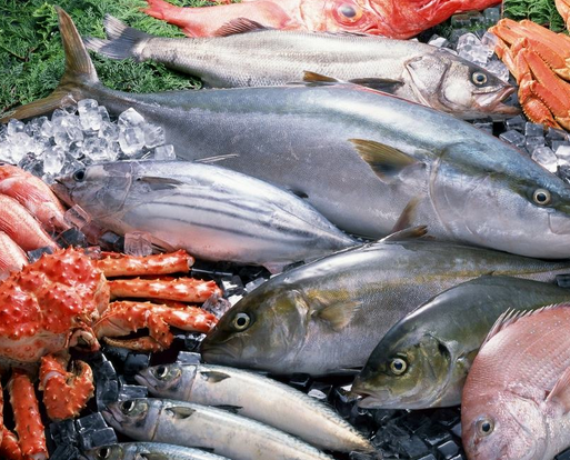 海鲜店利润率一般是多少?毛利润率至少58%开店8年赚套房车-泰洁创业网