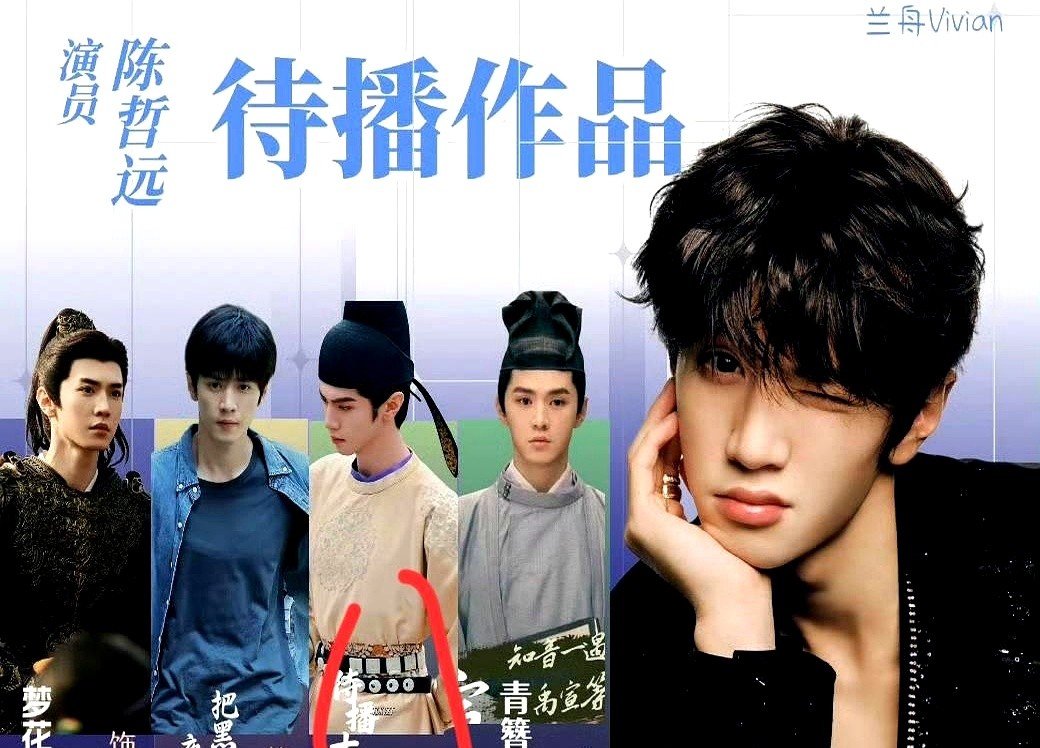 陈哲远粉丝宣传态度引热议:为何独捧待播剧