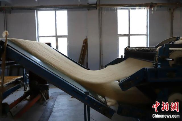 图为梳绒。 中新网记者 张林虎 摄