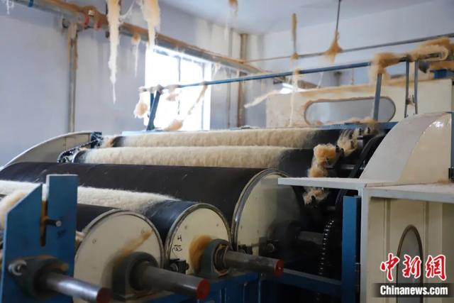 图为梳绒。 中新网记者 张林虎 摄