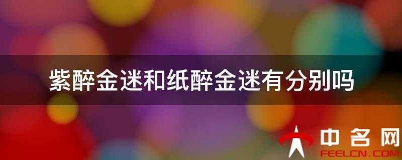紫醉金迷和纸醉金迷有分别吗