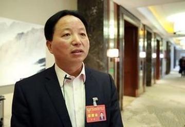 王昶[祁门红茶发展有限公司董事长]