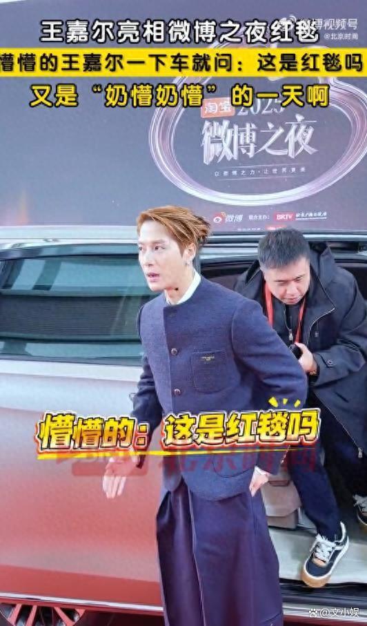 王嘉尔亮相微博之夜红毯 懵态成焦点