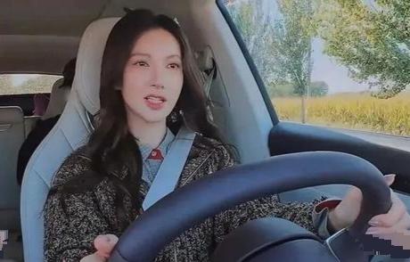 极目锐评丨金晨肇事逃逸被罚1500元，疑云不散，事件不可能画下句点