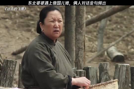 东北婆婆遇上俄国儿媳，俩人这对话是真逗啊