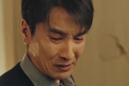 真的是爱到最后全凭良心！张子枫 赵又廷