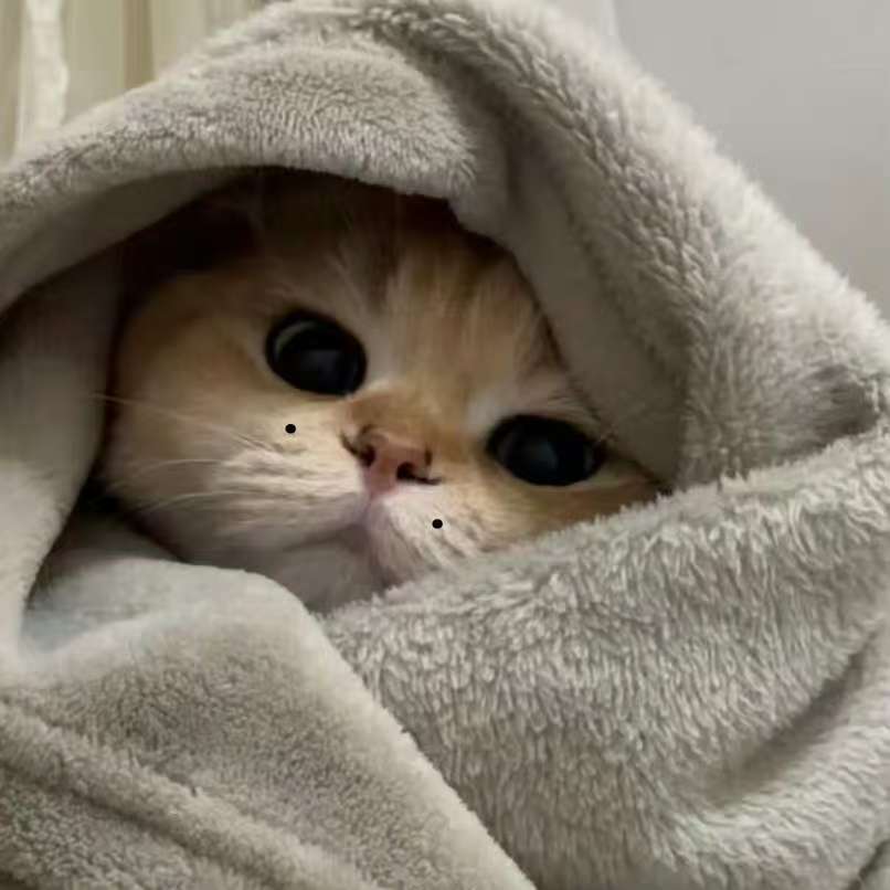 樊振东现身苏翊鸣赛场观战，为中国冰雪乒乓加油