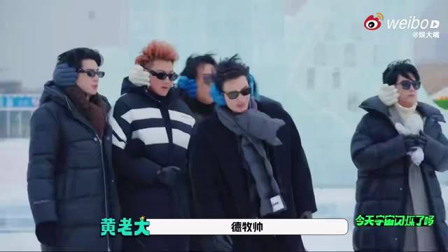 韩寒阿拉斯加犬幼子由黄晓明代养