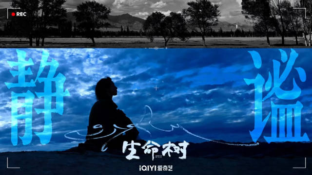 杨紫胡歌主演《生命树》开播，全明星阵容演绎无人区坚守