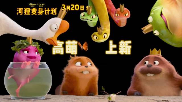 皮克斯新片《河狸变身计划》4月20日内地上映，斯特里普配音女孩变机器海狸