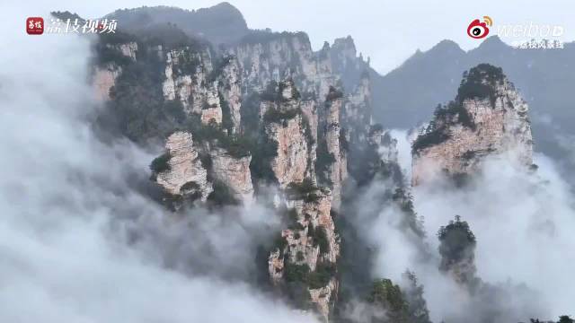 张家界天子山云海翻涌现仙侠幻境