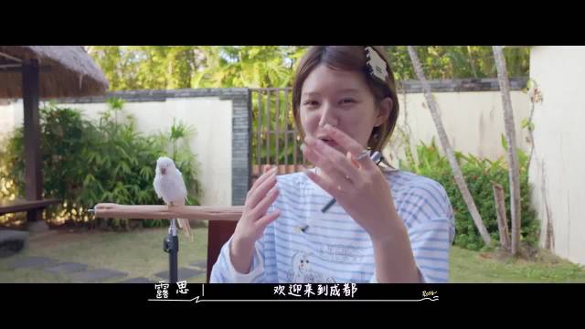 赵露思准备创业了？