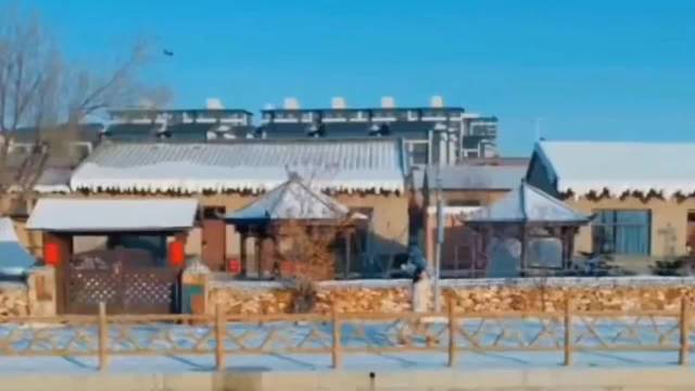 谁还没被邢菲的综艺感狠狠拿捏啊！合理怀疑邢菲连夜背梗 多拍！爱看！