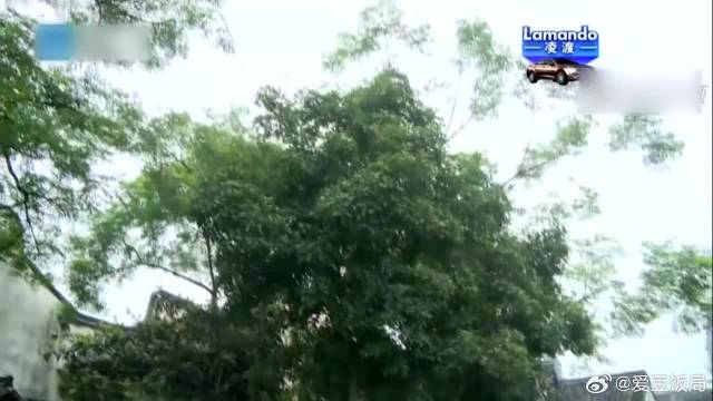 不愧是女神！baby和郑恺演绎《甜蜜蜜》，画面太美好