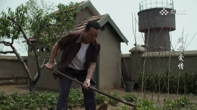 安杰得知秘密泪望江德福背影