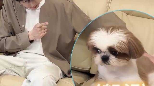 小呆就是个人精 爸比散发家长威严 小呆慌乱躲避的小眼神