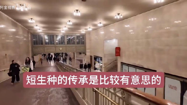 牢A：欧美的教父教子文化就是传承方式之一