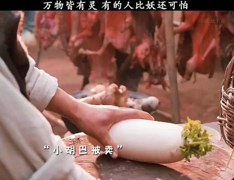 万物皆有灵，有时候人比妖更可怕！