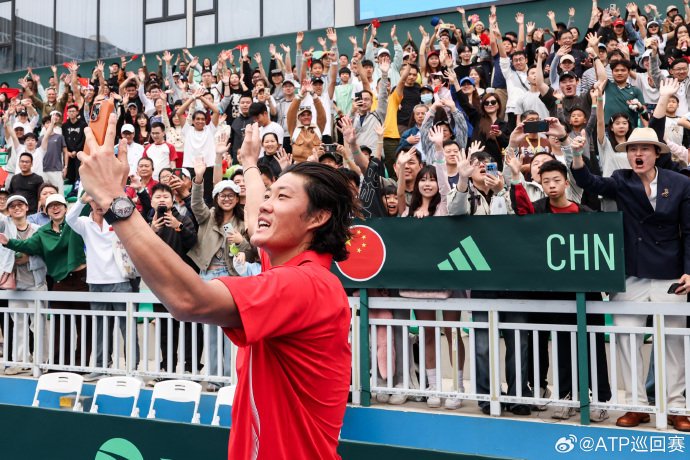 张之臻、吴易昺在中国男网晋级戴维斯杯世界一组的过程中发挥了哪些关键作用？