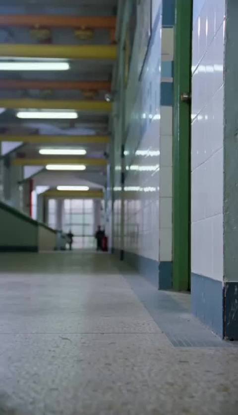 我家狗狗&周星驰，AI太好玩了