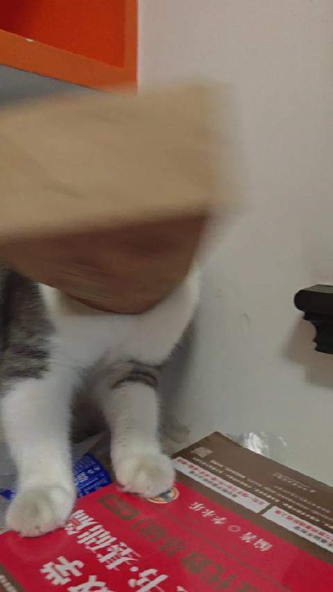 好像变成一个海豹自由自在的大声嗷嗷嗷