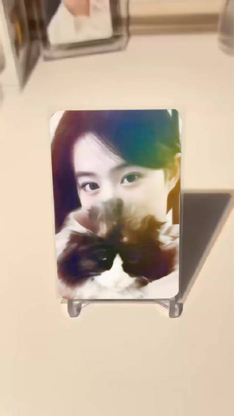 茜茜真的非常有爱心 救助了非常多的流浪猫狗 果然是个很善良的女孩