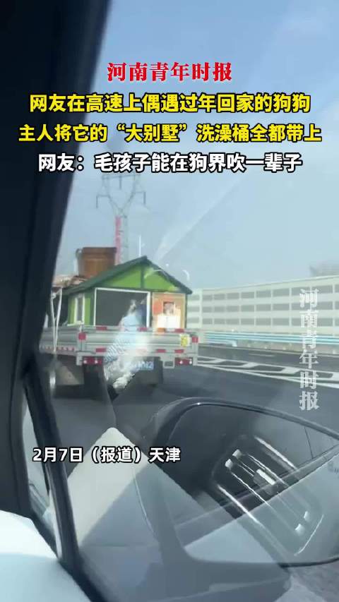 网友高速偶遇狗狗坐房车回家过年，全套装备引热议