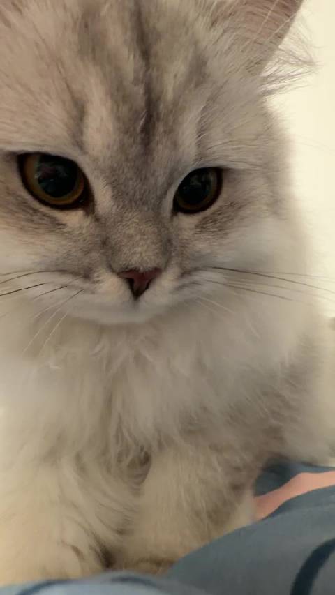 人 拖拉机咪已到位 请上车