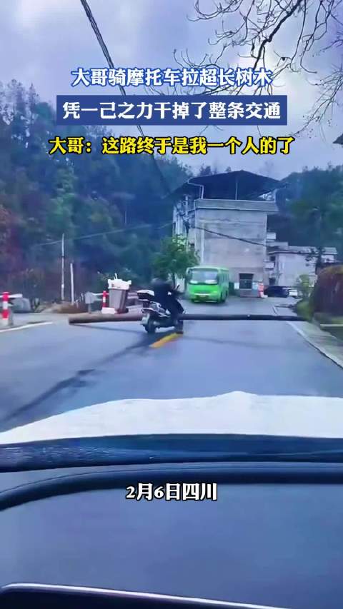 男子骑摩托拉超长树木阻塞整条道路